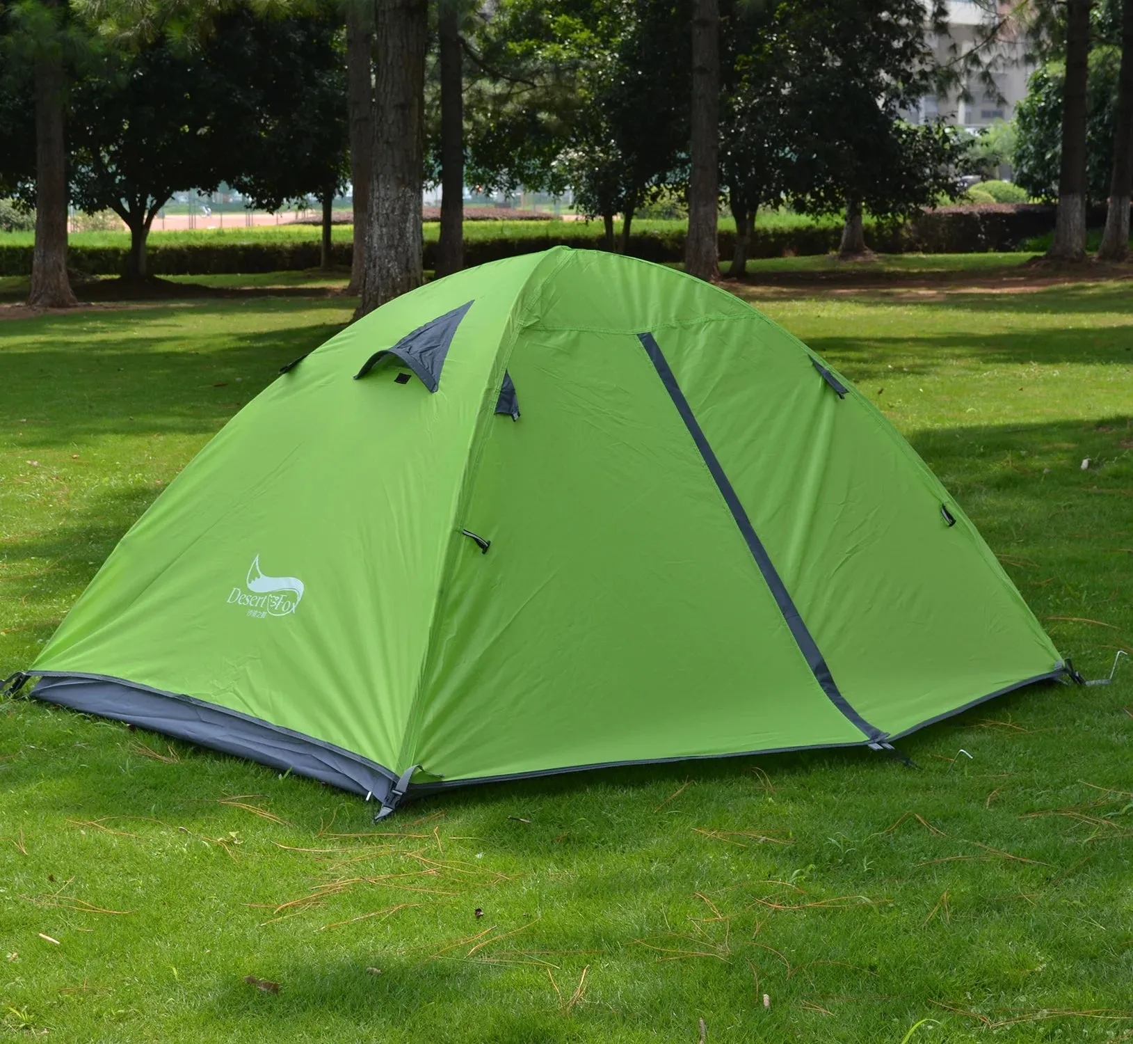 2 Person Lightweight Backpacking Tent - Four-Season Camping