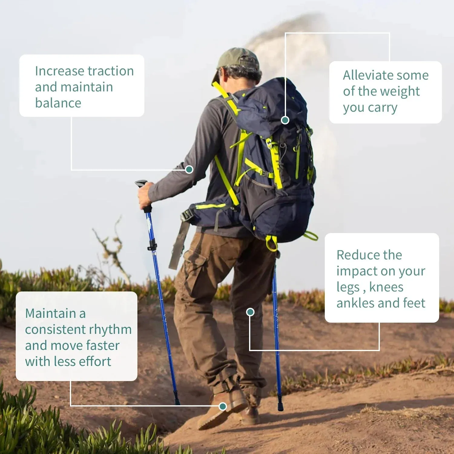 5-Section Foldable Trekking Pole with Foam Handle for Hiking & Walking