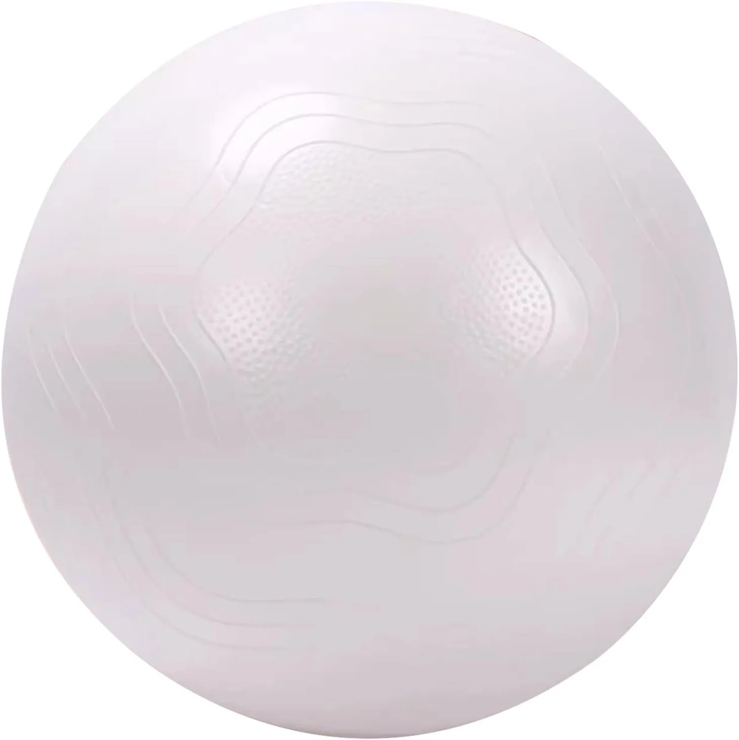 65cm Yoga Ball Exercise Ball, Thick Anti-Slip & Anti-Burst Stability Ball Heavy Duty Large Gym Ball for Fitness Balance Core Workout and Physical Therapy