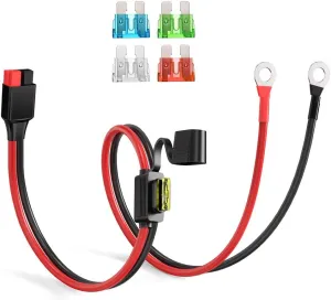 Anderson Connector to O Ring Terminal 10AWG Battery Connector Cable with 5 Fuse for Automotive Portable Power Station Solar Generators(2FT)