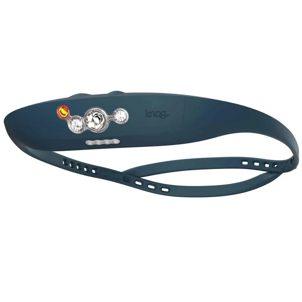 Bandicoot Headlamp Indigo