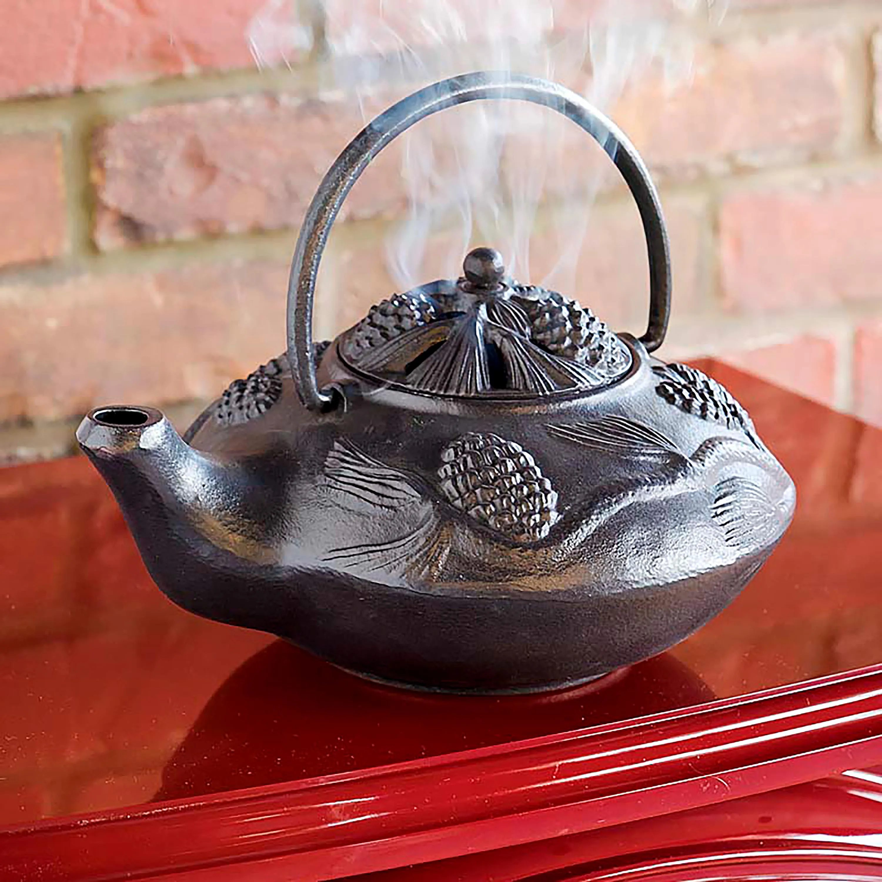 Cast Iron Wood Stove Kettle Steamer with Pine Cone Design