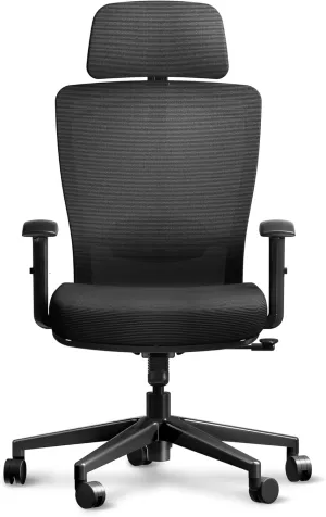 ErgoChair Pro Ergonomic Office Chair, Swivel Computer Chair, Home Office Desk Chairs， with Lumbar Support/2D Headrest/300lbs Heavy Duty/Lockable Back,Comfy Foam Seat Cushion,Black