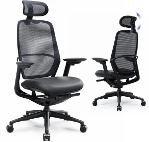 Ergonomic Office Chair, High Back Mesh Desk Chair with Adjustable Lumbar Support, Reclining Backrest, 4D Armrests, Breathable Mesh, HeadRest, Comfortable Chair for Home Office, Work,Study