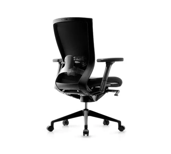Fursys T50 Ergonomic Office Chair