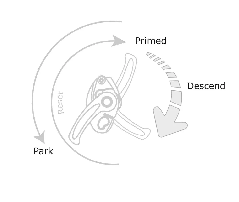 ISC D5 Work/Rescue Descender