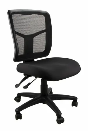Kimberly Mesh Ergonomic Office Chair