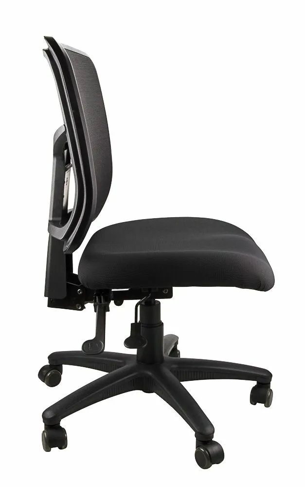 Kimberly Mesh Ergonomic Office Chair
