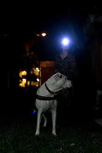 LED Headlamp Flashlight - Great for Camping, Hiking, Dog Walking, Kids, One of The Lightest (2.6 oz) White Cree Headlight, Water & Shock Resistant   Red Strobe, 3 AAA Batteries Included