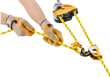 MAESTRO® S