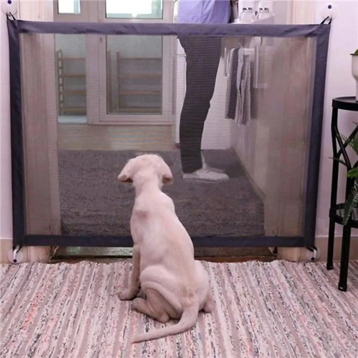 Mesh Pet Gate: Enhance Pet Safety in Style
