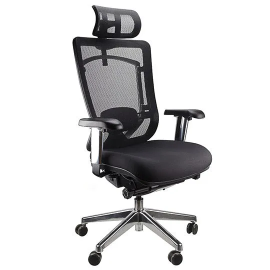 Nicholas Ergonomic Office Chair with Headrest