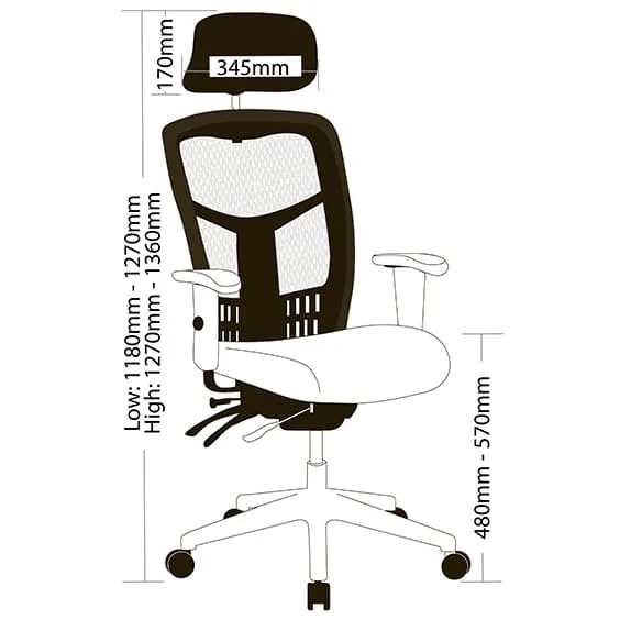 Oyster Ergonomic Office Chair