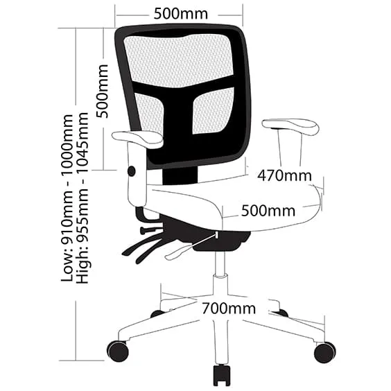 Oyster Ergonomic Office Chair
