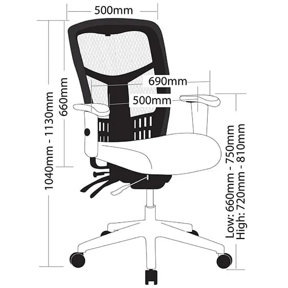 Oyster Ergonomic Office Chair