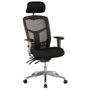 Oyster Ergonomic Office Chair