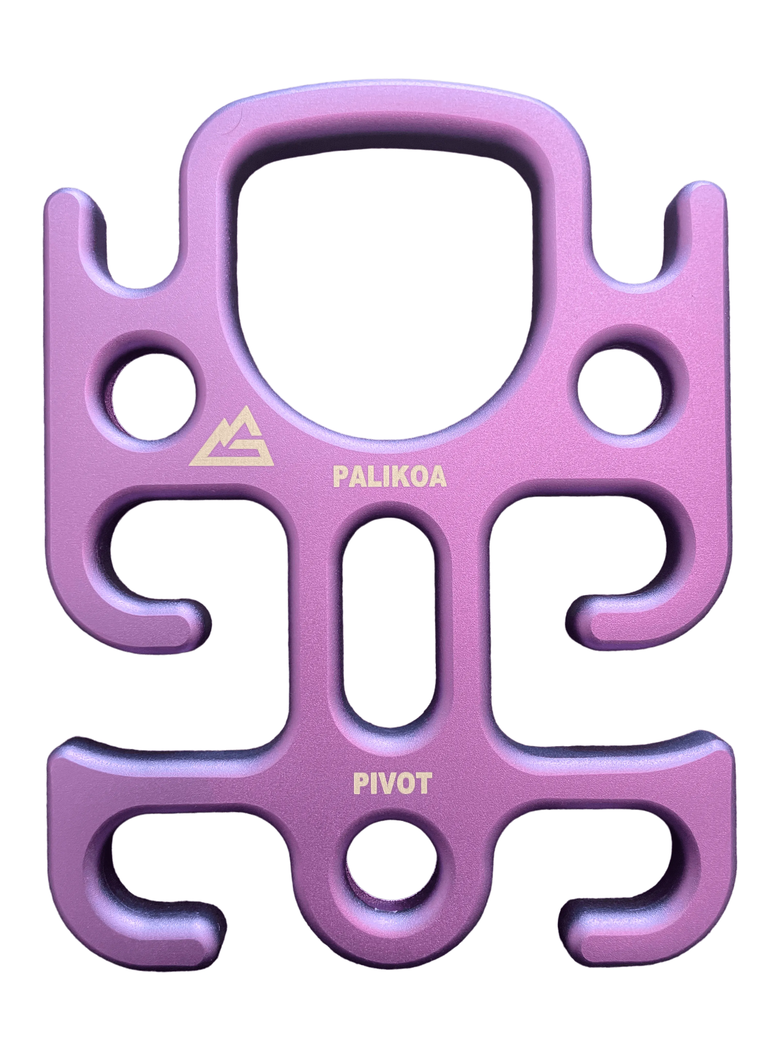 Palikoa Pivot Descender - GLACIER BLACK