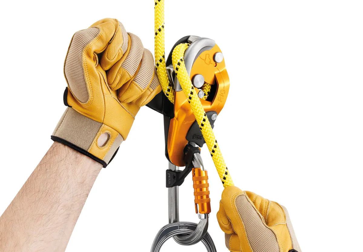 Petzl Rig D021