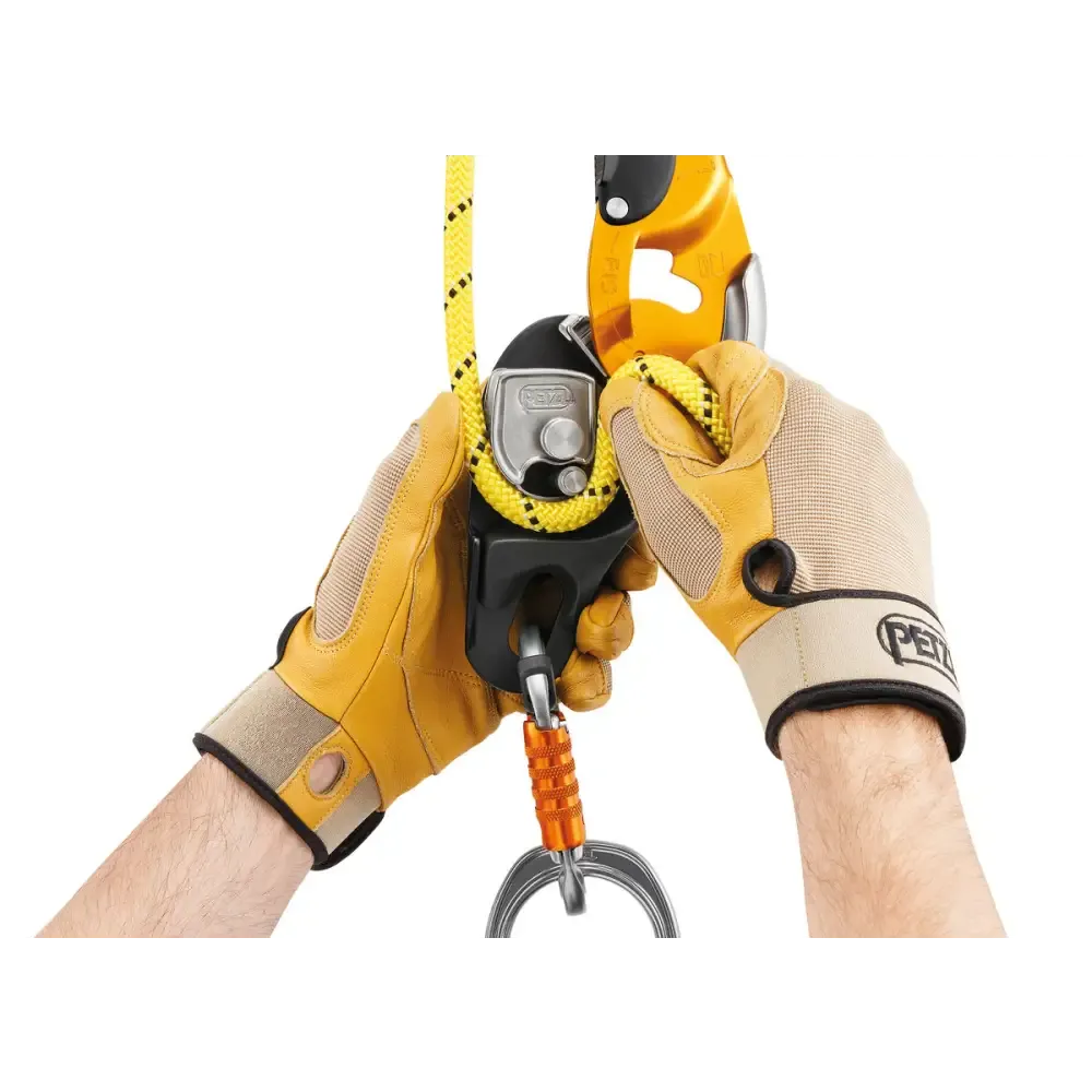 Petzl Rig