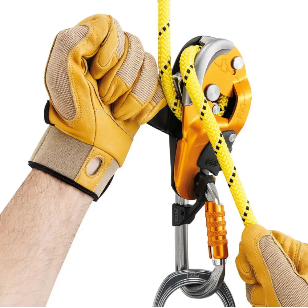 Petzl Rig