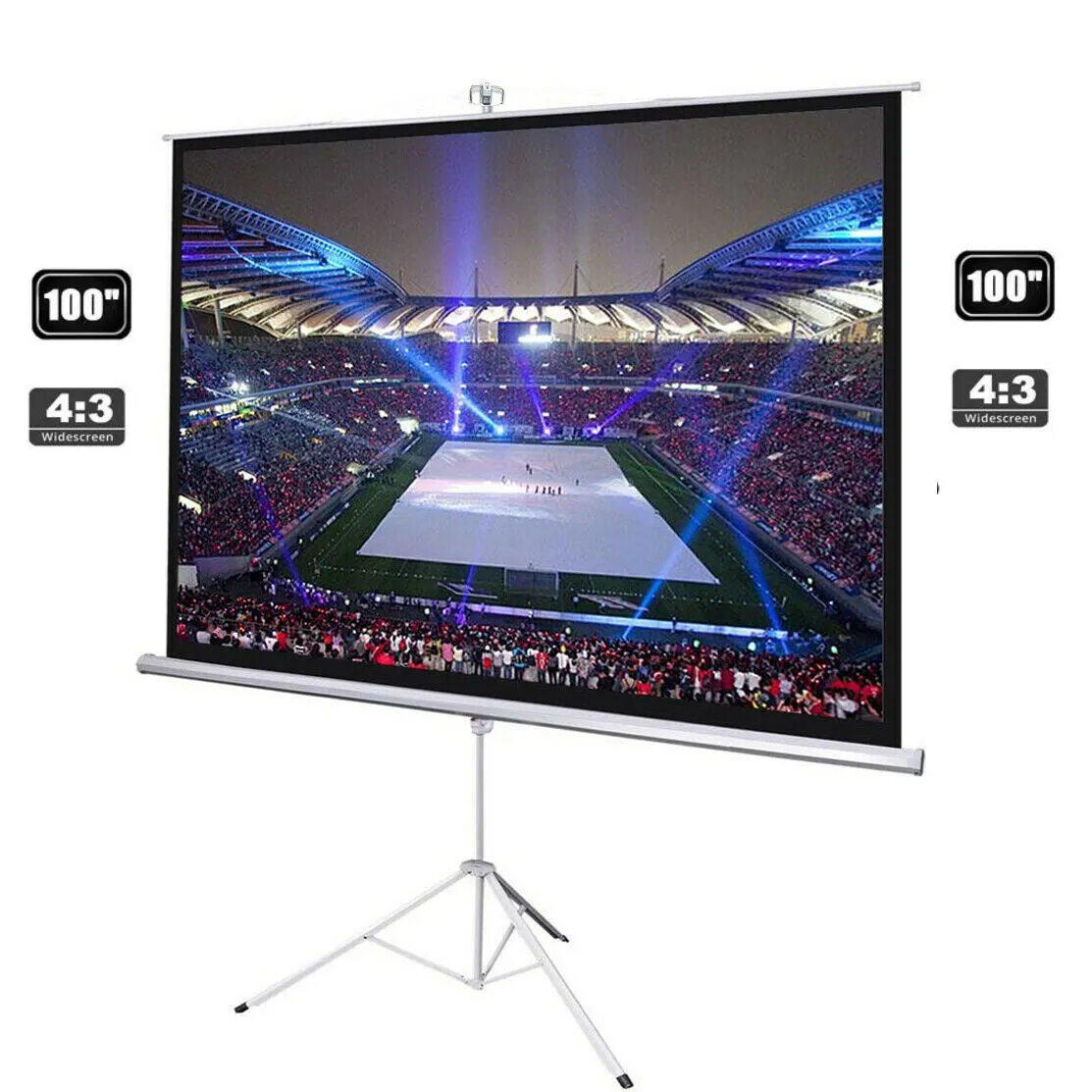 Projector Screen