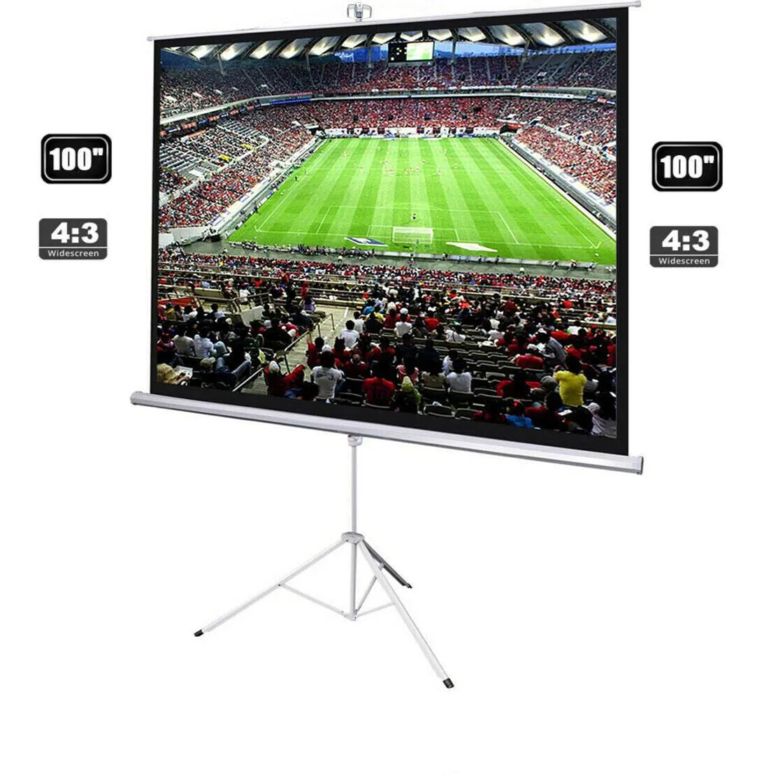 Projector Screen
