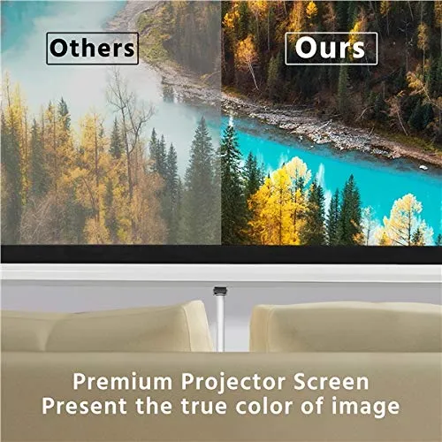 Projector Screen