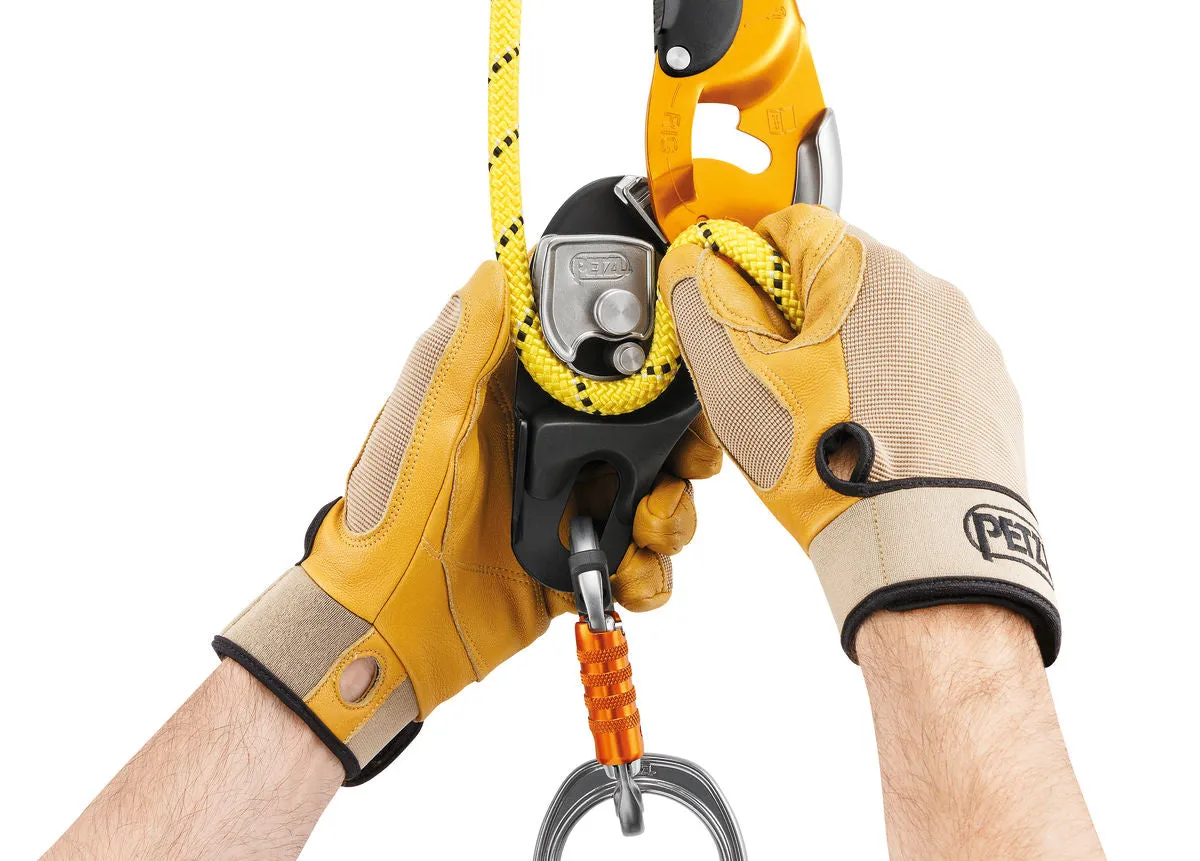 Rig Descender