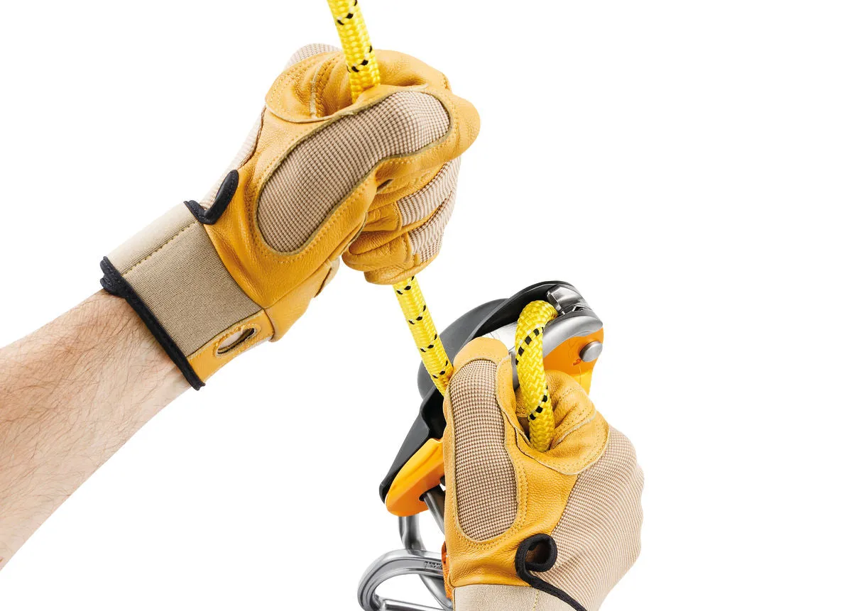 Rig Descender