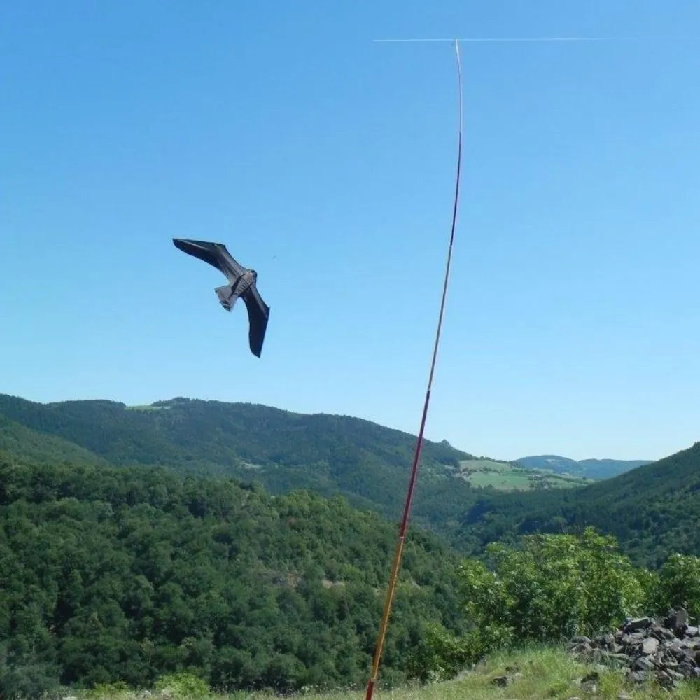ScaryBird Kite