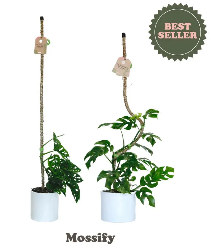 Wholesale Partner: Mossify - 42" Bendable Coir Pole